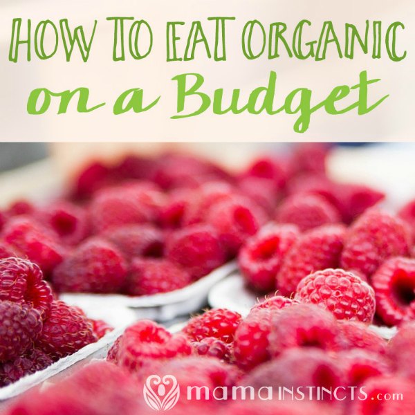 Eating organic on a budget is possible! Find out how. #organic #healthykids #healthyfamily #nongmo #natural