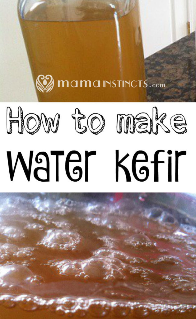 How to make water kefir – Mama Instincts®