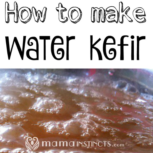 Water kefir is a probiotic drink that you can easily make at home. You can even make it fizzy and drink this instead of soda. #probiotics #waterkefir