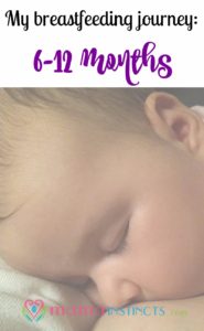 breastfeeding journey months