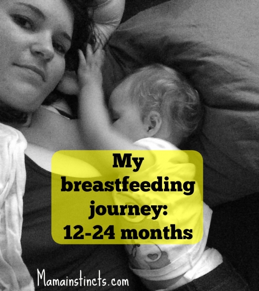 breastfeeding journey months