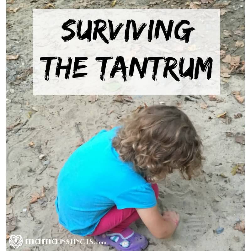 We've all been there - one moment everything is fine and the next your child is out of control. Tantrums are a normal part of child development but they are hard to deal with. Click to learn how to survive a tantrum and be prepared before your child has the next one.