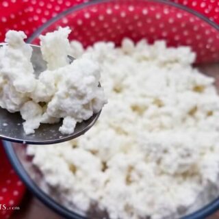 Instant Pot Cottage Cheese