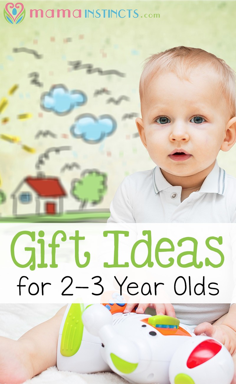 Looking for gift ideas for your child? Your kiddo won't be disappointed with these fun toys for kids 2 to 3 years old!
