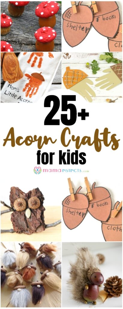 25+ Acorn Crafts for Kids
